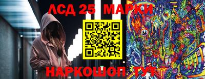 шишки Свободный