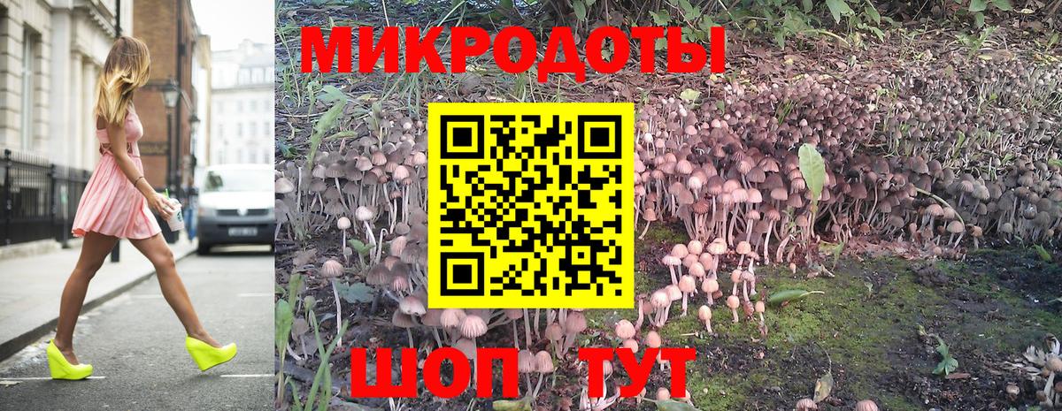 Псилоцибиновые грибы мицелий Похвистнево